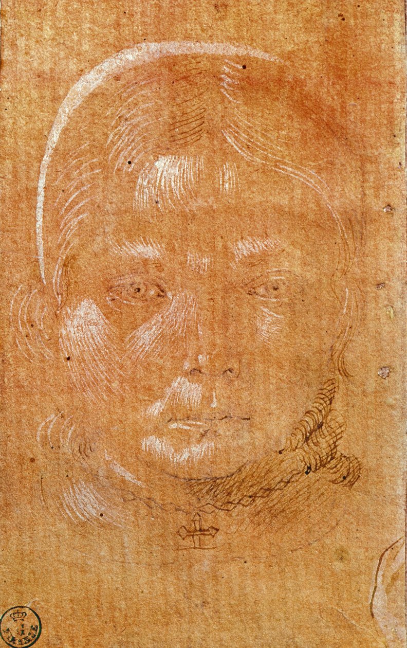 一个年轻女孩的头（粉笔和墨水在纸上） 作者 Benozzo di Les di Sandro Gozzoli