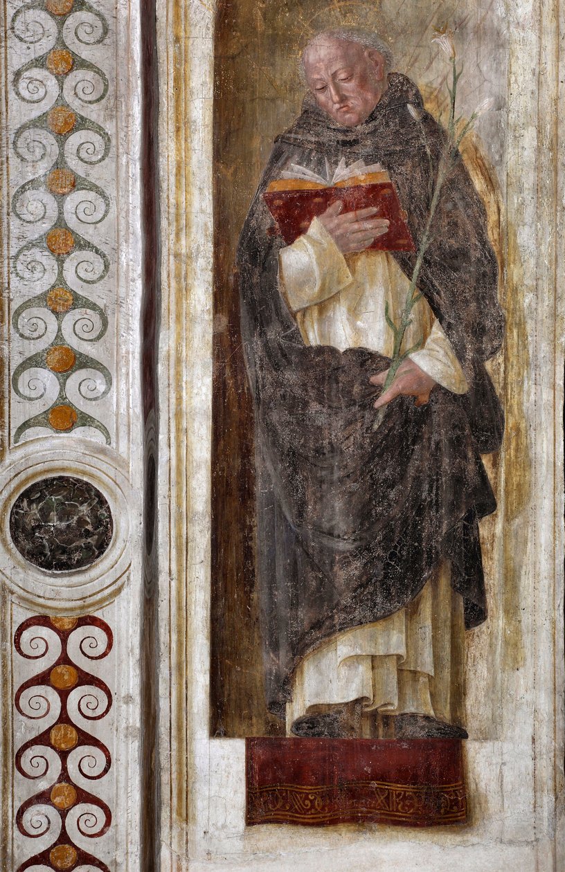 代表古兹曼的圣多米尼加（约 1170-1221）（圣多米尼克）壁画 by Bernardino Butinone (1435-1507) 1482-1486 意大利米兰圣玛丽亚感恩大教堂 作者 贝纳迪诺·雅各比·布蒂诺内