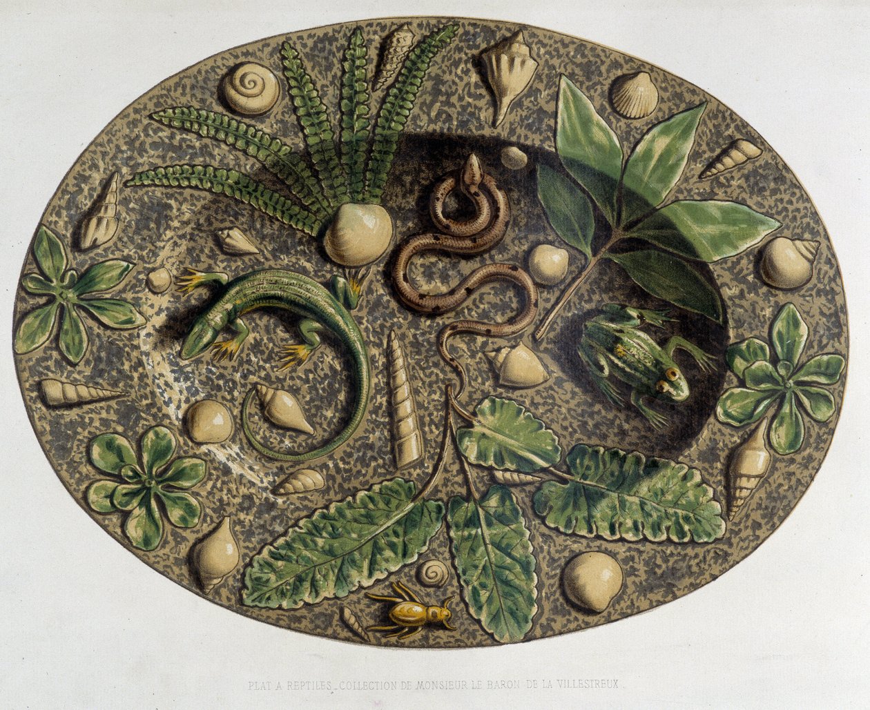 Plate à reptiles - Plate céramique, in “” The work of Bernard Palissy”” by C. Delange and C. Borneman, Paris 作者 伯纳德（后）帕利斯西