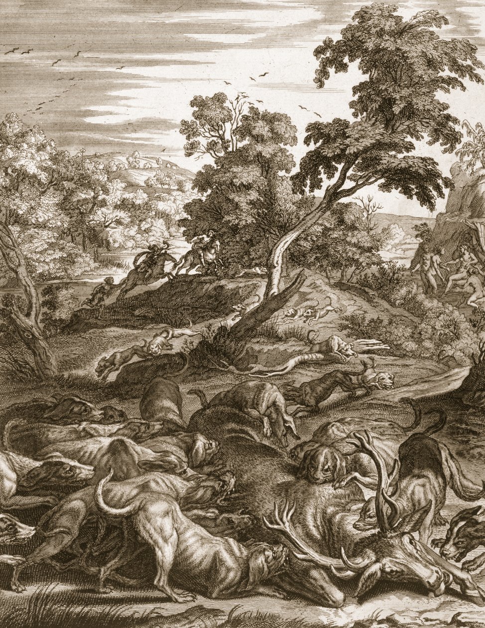 1731年，Actaeon成了一只雄鹿并被他的猎犬吞噬 作者 伯纳德·皮卡特