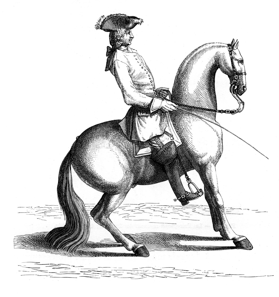 艾森伯格男爵，1727年，1885年。 作者 伯纳德·皮卡特