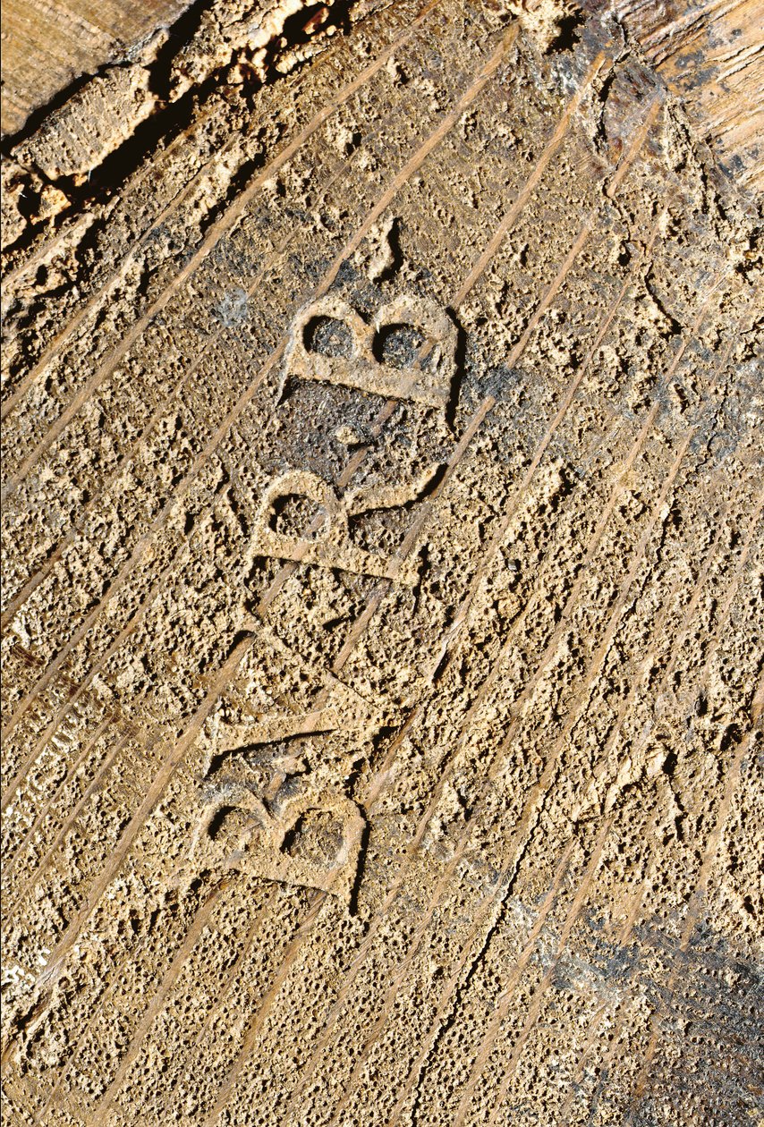 路易十五便桶，约1740年（ormolu安装的中国黑色，彩色和镀金漆，蛇纹石，大理石和弗尼斯） 作者 伯纳德·范·里森堡