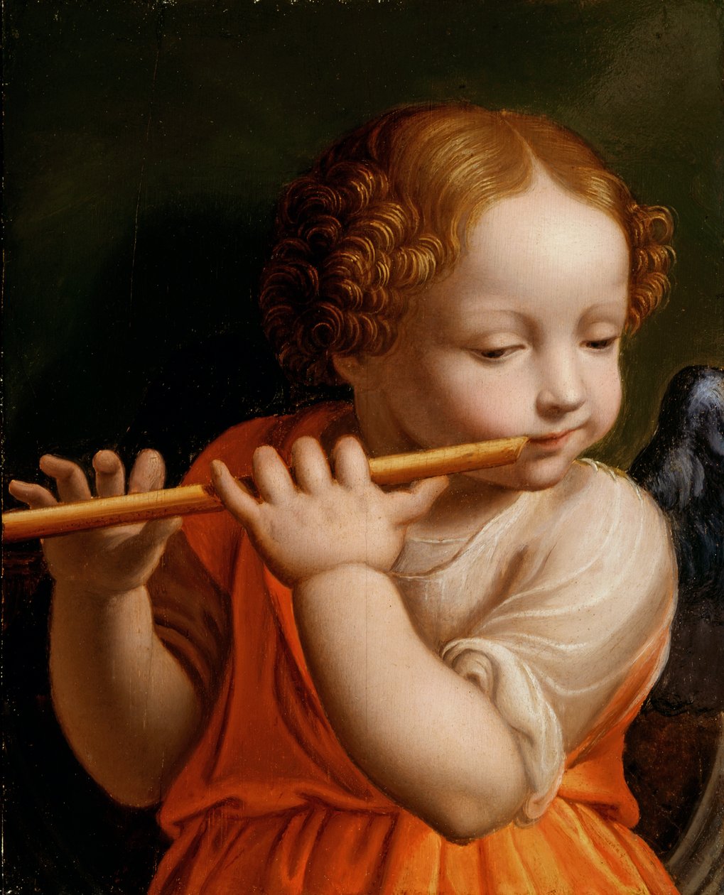 儿童天使吹长笛，c.1500 作者 贝纳迪诺·路易尼