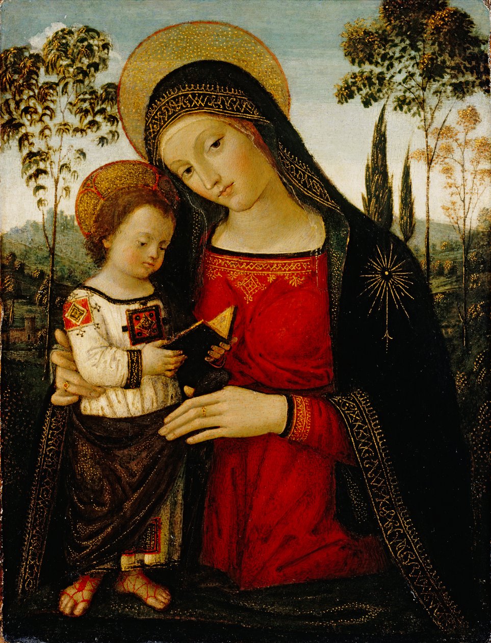 麦当娜和儿童，c.1490-1495（面板上的蛋彩画） 作者 贝纳迪诺·贝托·平图里基奥