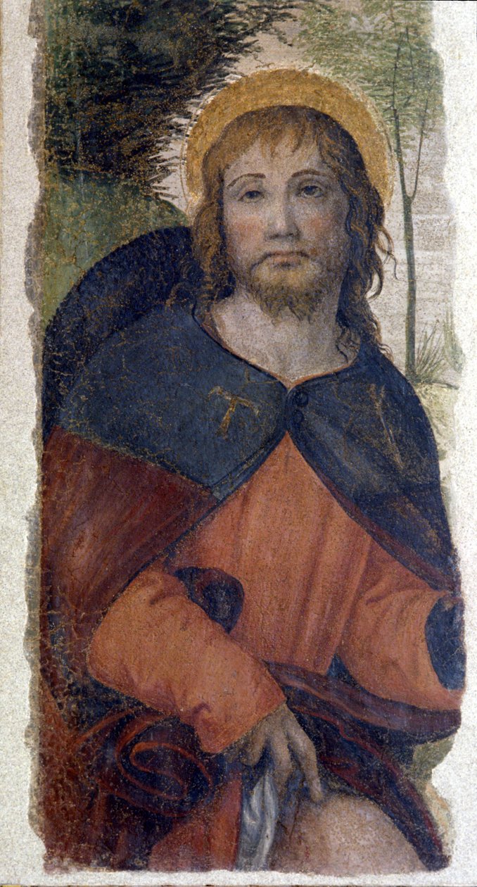 圣罗科 (Roch) 的代表。 Bernardino de Scapis 学校的壁画，被称为 Bernardino Luini（1485-1532）。 16世纪 作者 贝尔尼迪诺（学校）路易斯尼