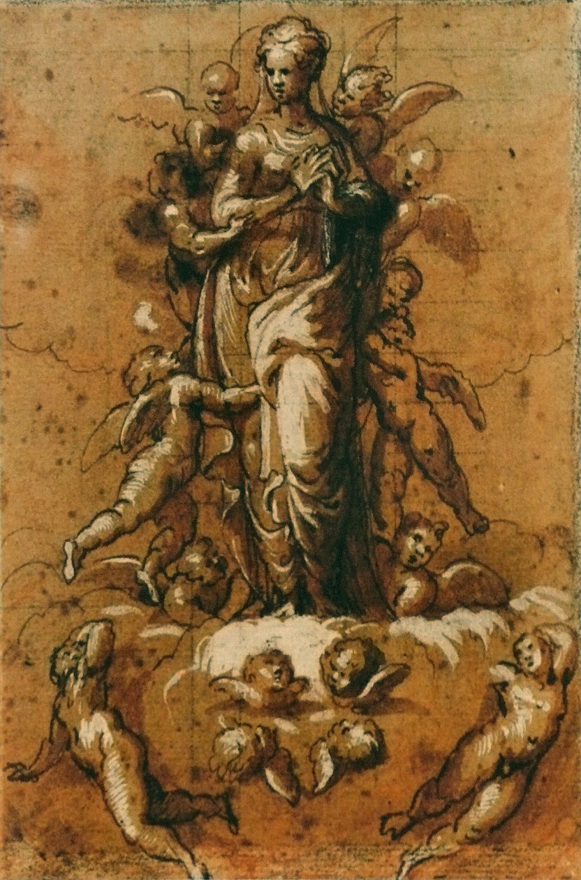 圣母无原罪 作者 贝纳迪诺·坎皮（Bernardino Campi）