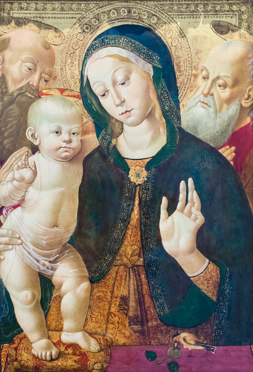 圣母子与两位圣徒，c.1500（面板油画） 作者 贝纳迪诺真菌
