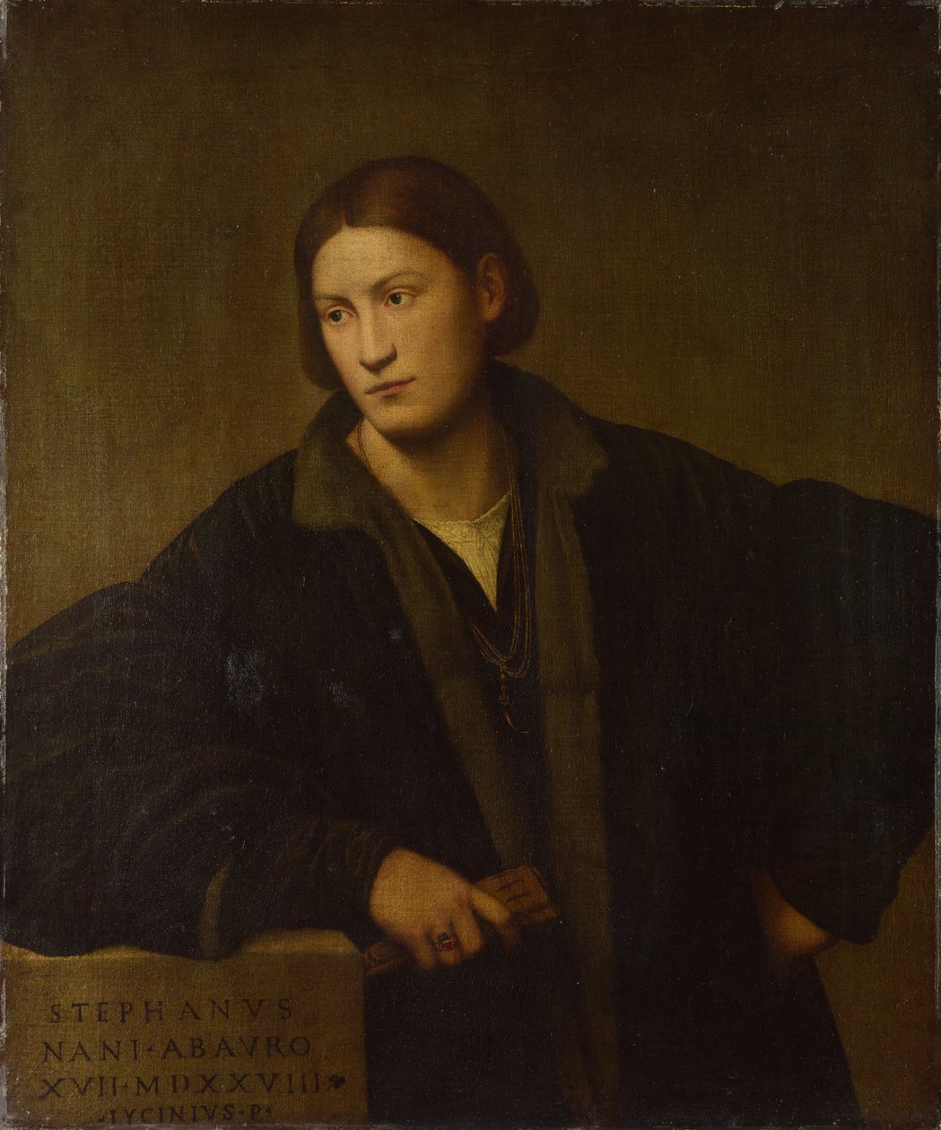 Stefano Nani的肖像，1528年 作者 贝纳迪诺·利辛尼奥