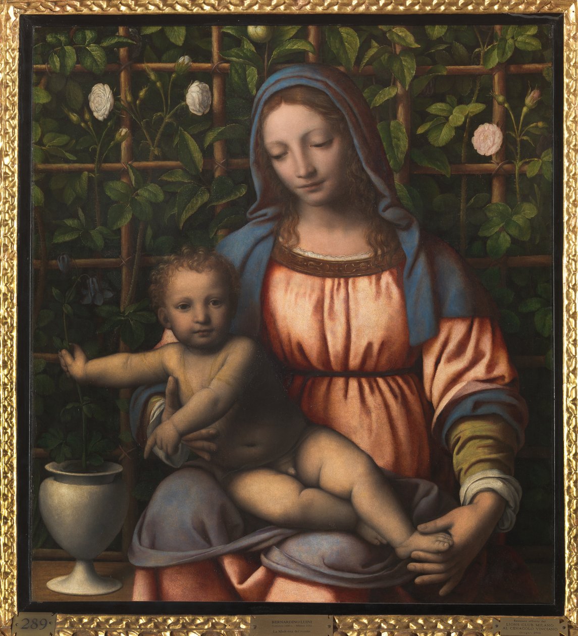 麦当娜和孩子 (Madonna del Roseto) 作者 贝纳迪诺·路易尼