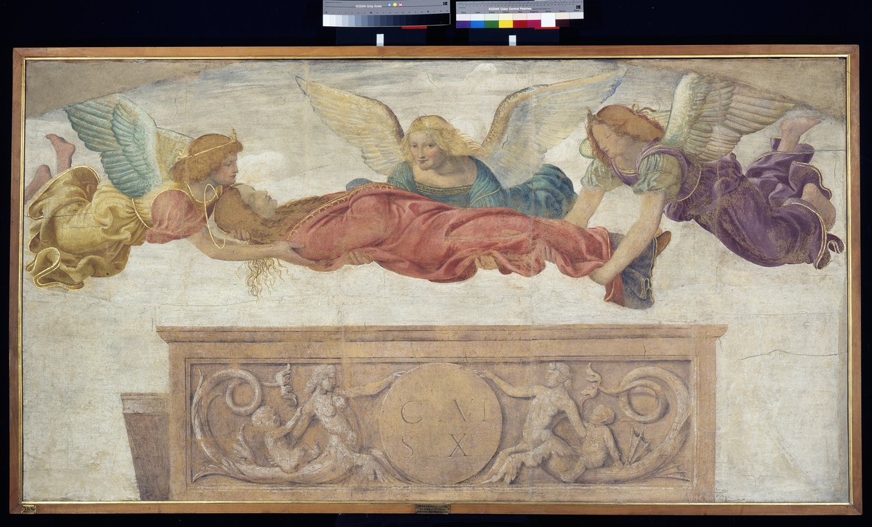 天使携带的圣凯瑟琳的尸体，c.1514（船上携带的分离壁画） 作者 贝纳迪诺·路易尼