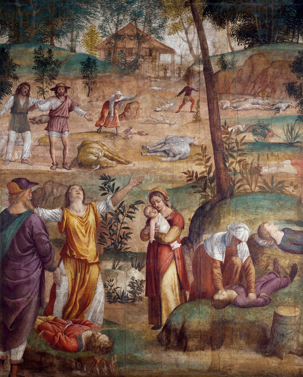 长子之死，由Bernardino Luini（约1480-约1532）创作，壁画转印在木头上，211x169厘米。 作者 贝纳迪诺·路易尼