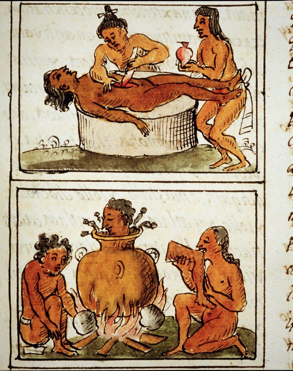 阿兹特克人的人祭和同类相食。 贝纳迪诺·萨哈贡的手稿 作者 贝纳迪诺·萨哈贡（Bernardino de Sahagun）