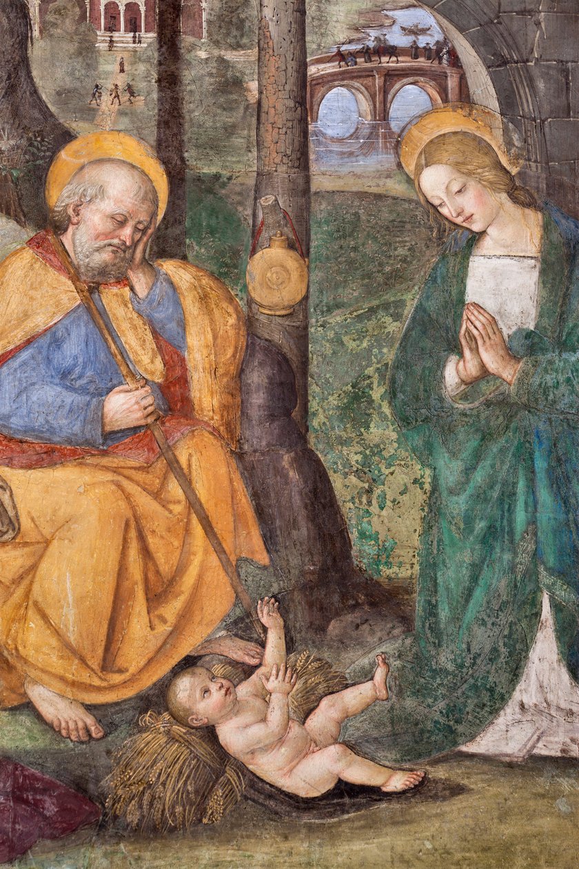 牧羊人的崇拜细节 壁画：Pinturicchio (Bernardino di Betto) (1454-1513) 1484-1492 (Church of Santa Maria del Popolo), Basilica di Santa Maria del Popolo, Cappella Basso della Rovere Rome 意大利 作者 贝纳迪诺·贝托·平图里基奥