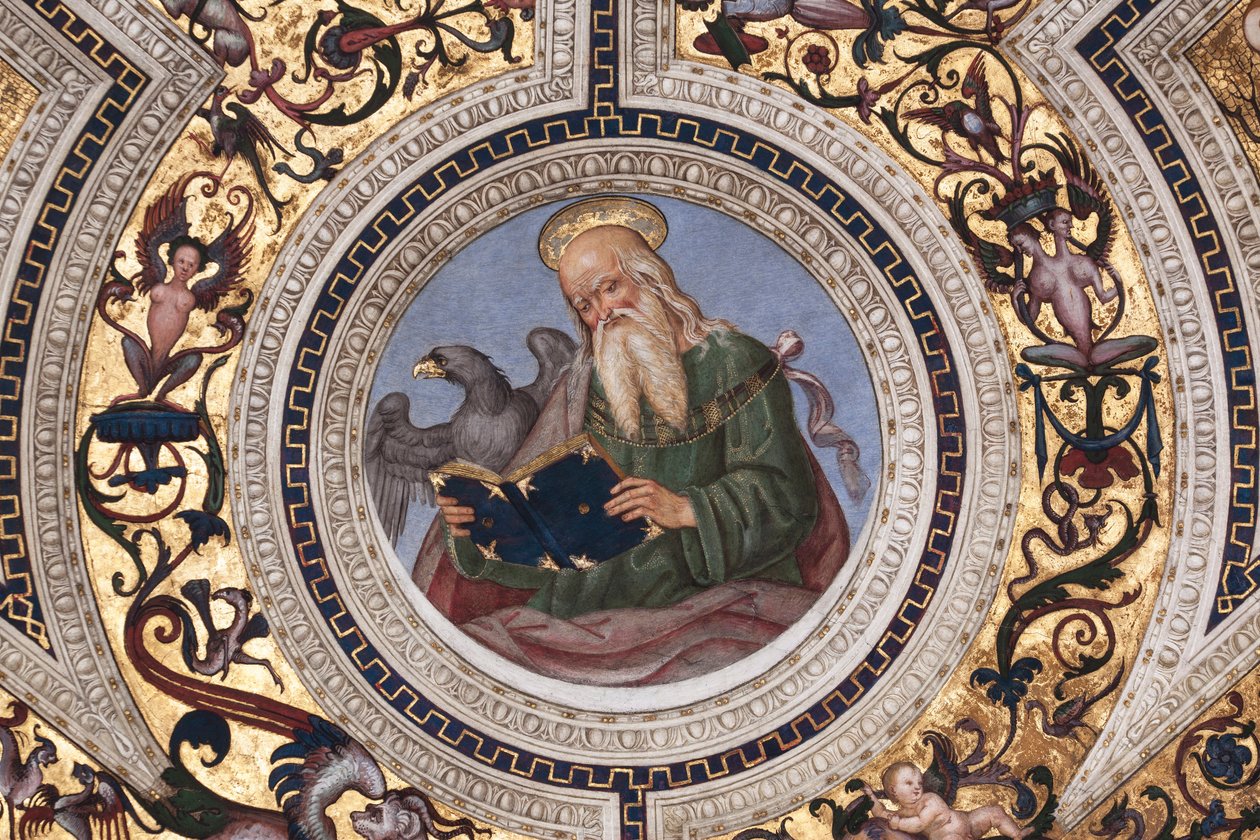 St John the Evangelist, detail of The Four Evangelists (fresco 作者 贝纳迪诺·贝托·平图里基奥