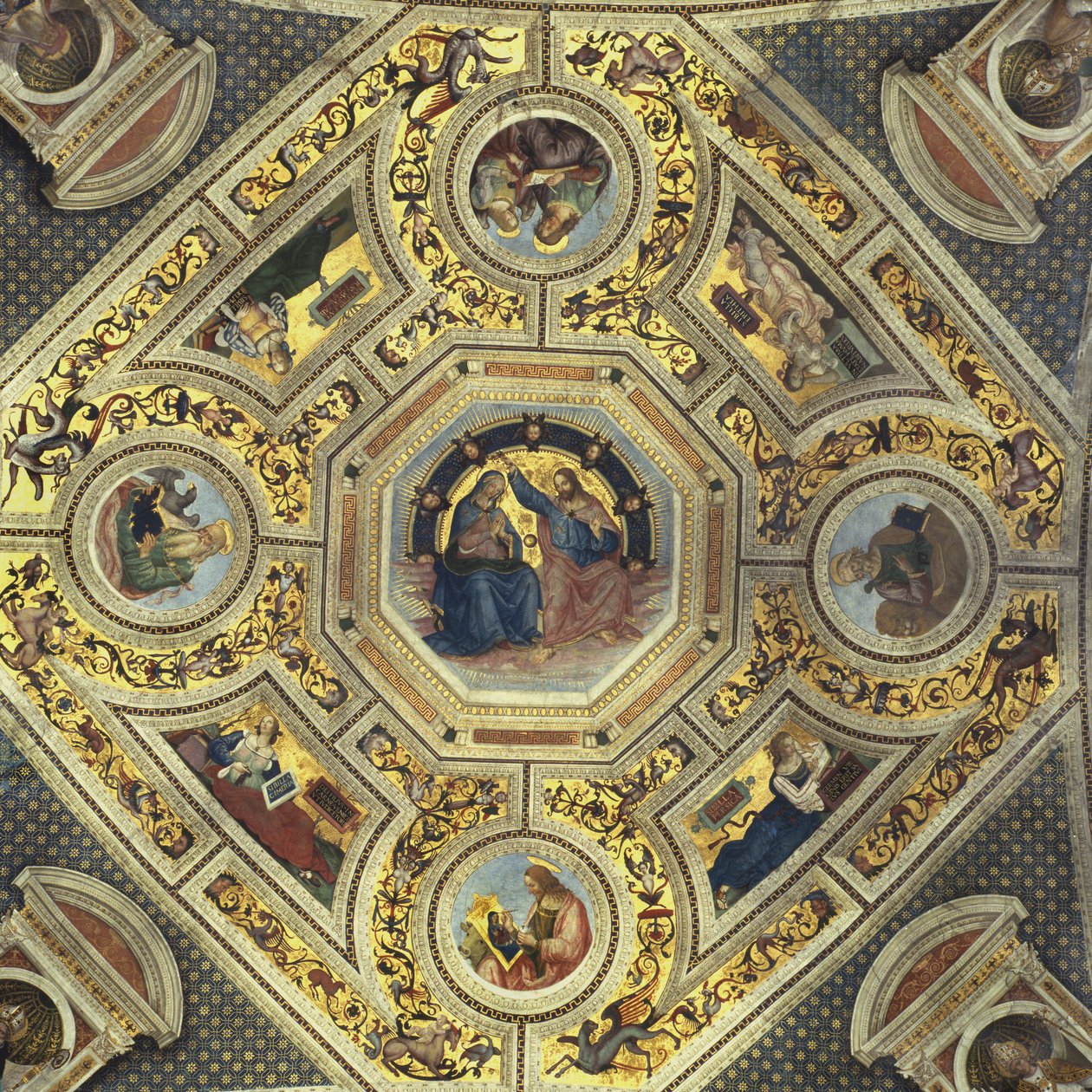 长老会的穹顶，Santa Maria del Popolo，罗马，c.1484-92 作者 贝纳迪诺·贝托·平图里基奥