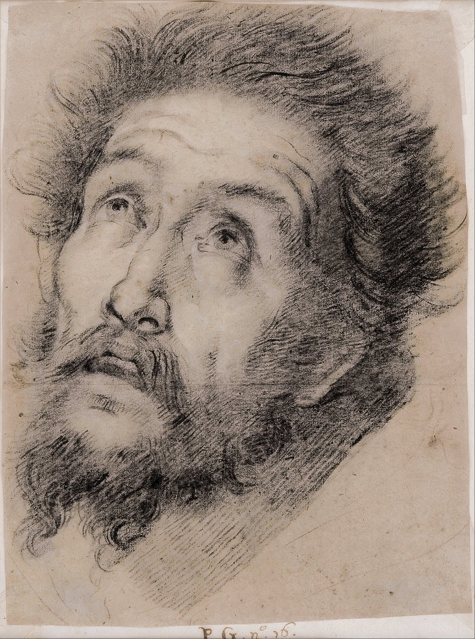 研究阿西西的圣弗朗西斯崇拜十字架 作者 贝尔纳多·斯特罗兹（Bernardo Strozzi）