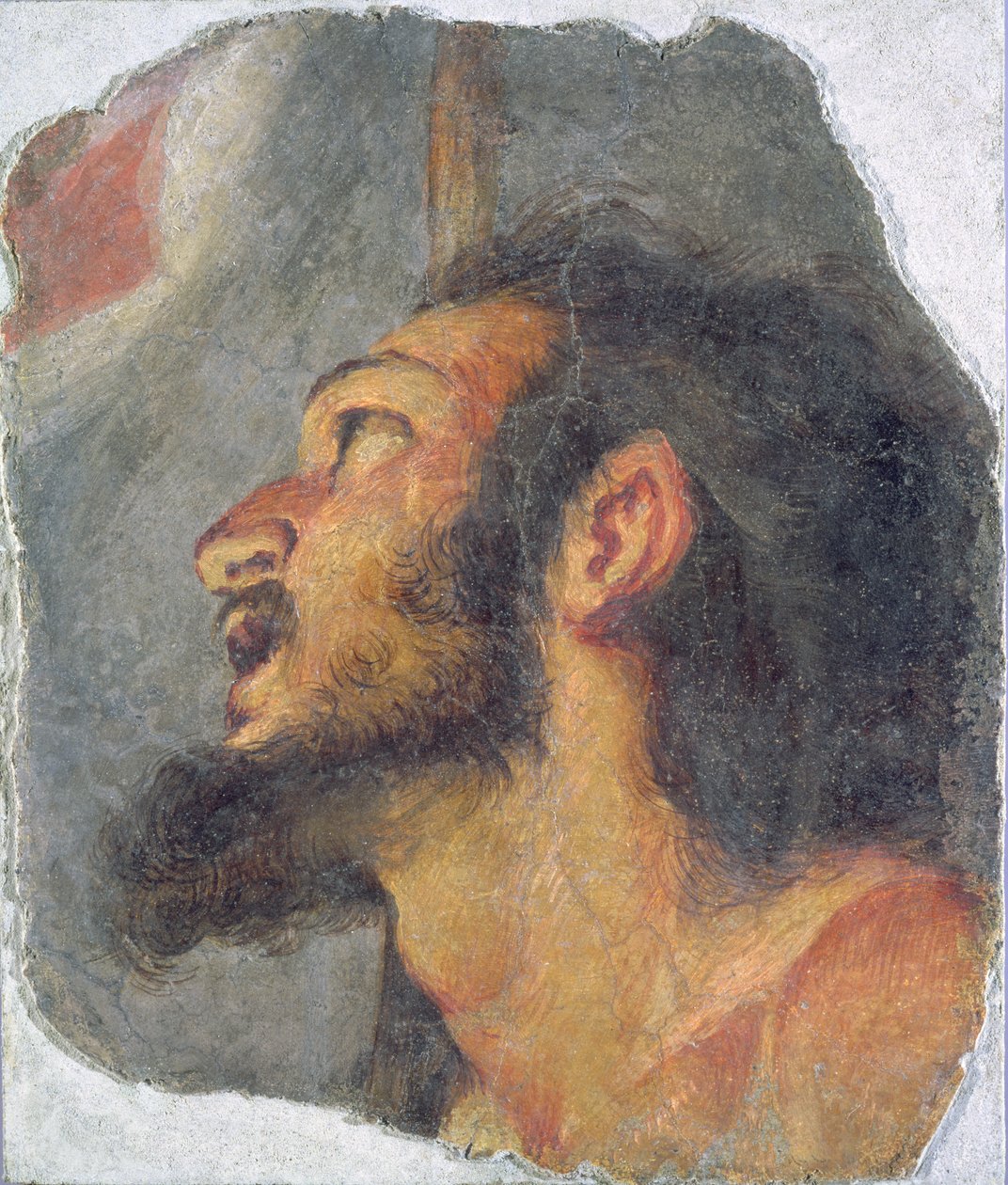 施洗者圣约翰的头，从壁画片段 作者 贝尔纳多·斯特罗兹（Bernardo Strozzi）