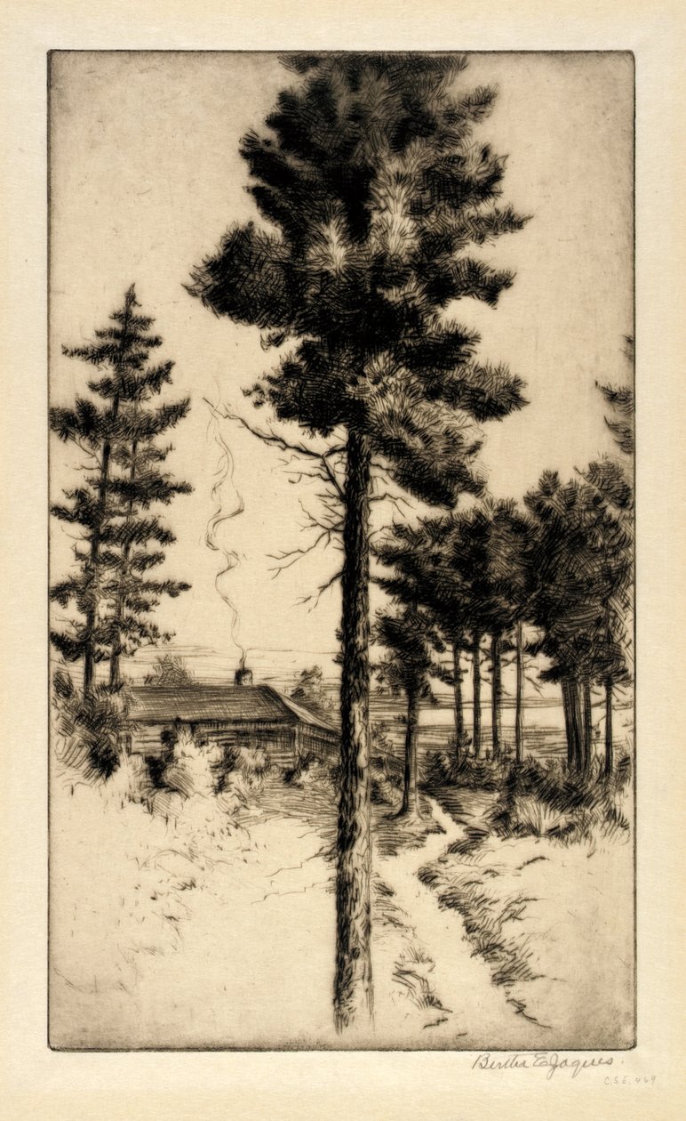 荒野小屋 作者 伯莎·E·雅克