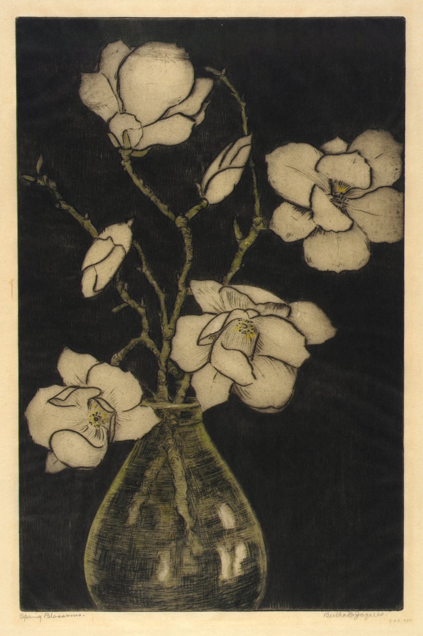 春暖花开（树玉兰） 作者 伯莎·E·雅克