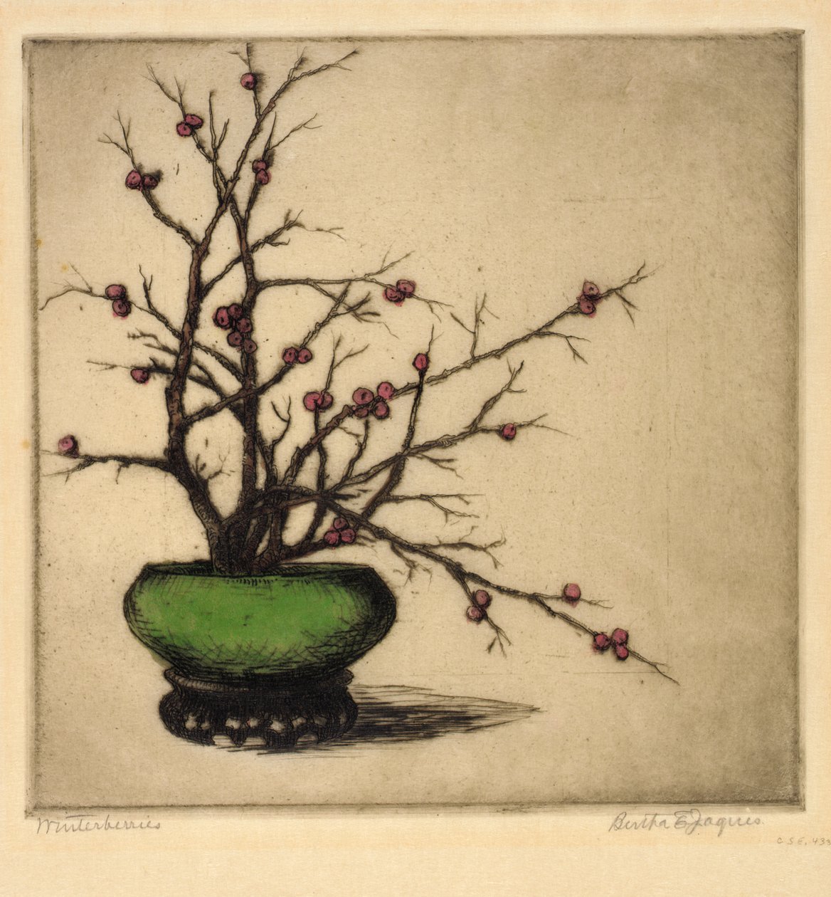 冬莓 作者 伯莎·E·雅克