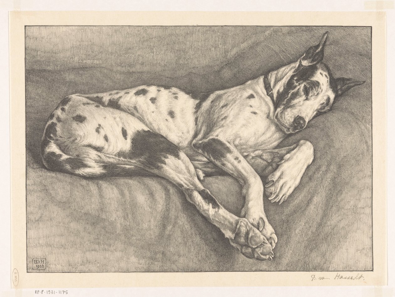 睡狗 作者 Bertha van Hasselt（艺术家签名）