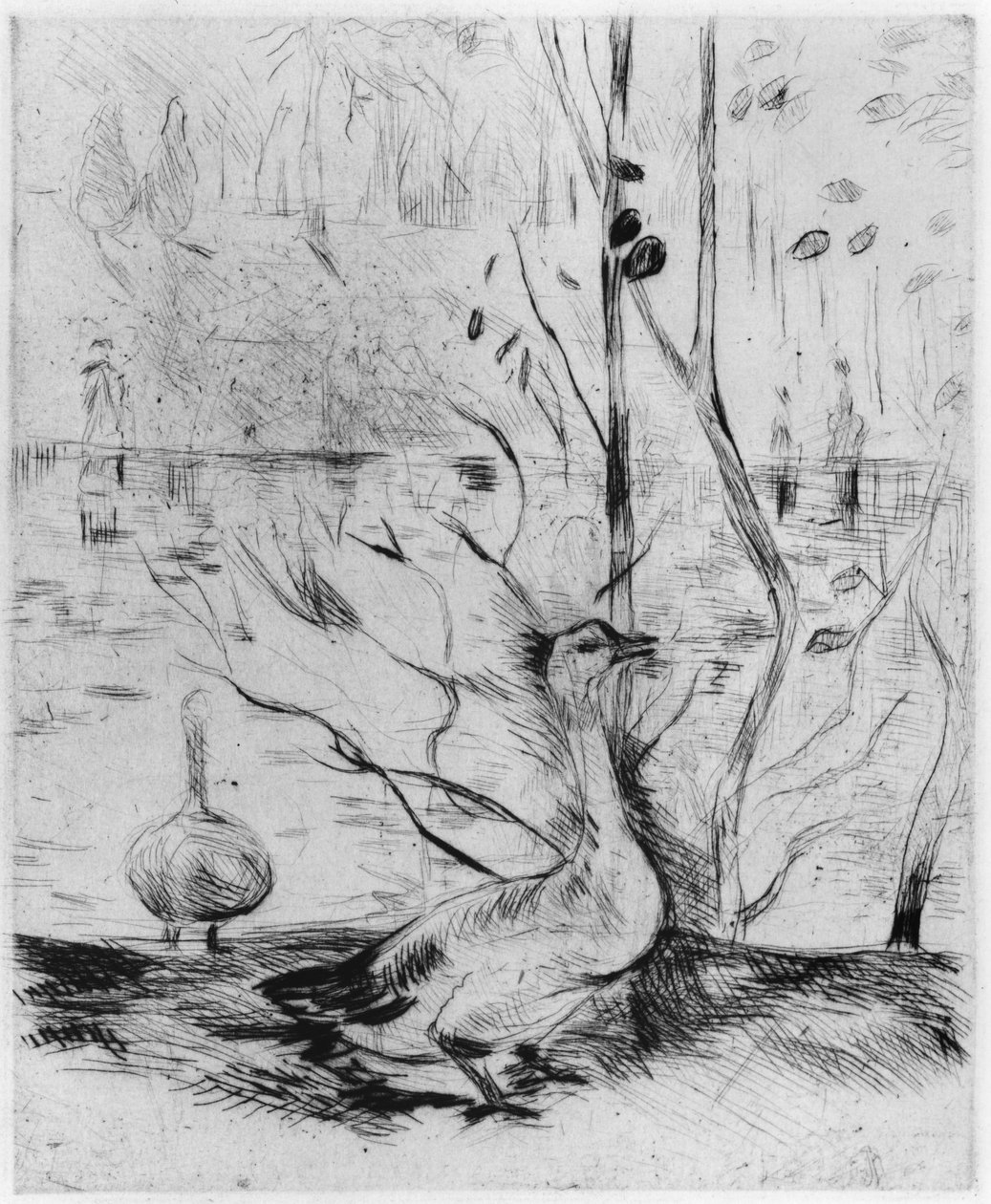 鹅，1889年（干点） 作者 贝特·莫里索（Berthe Morisot）