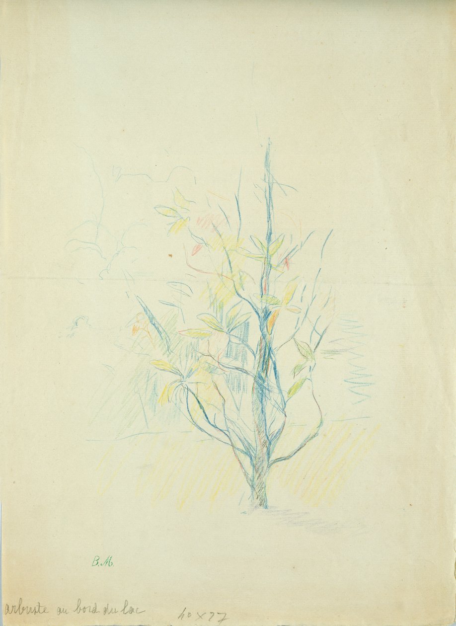 湖边的灌木丛，1893年（彩色铅笔在纸上） 作者 贝特·莫里索（Berthe Morisot）