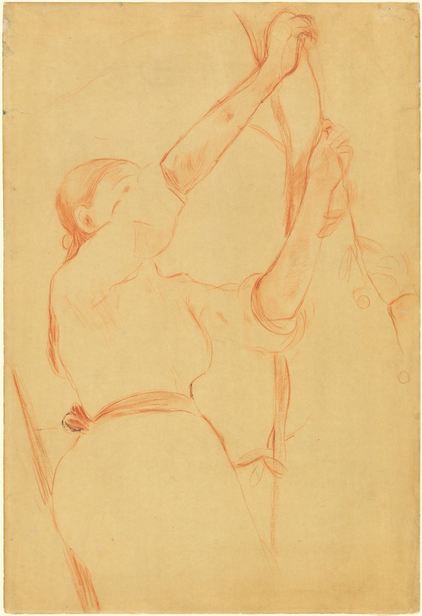 采摘樱桃的女孩，1891年。 作者 贝特·莫里索（Berthe Morisot）