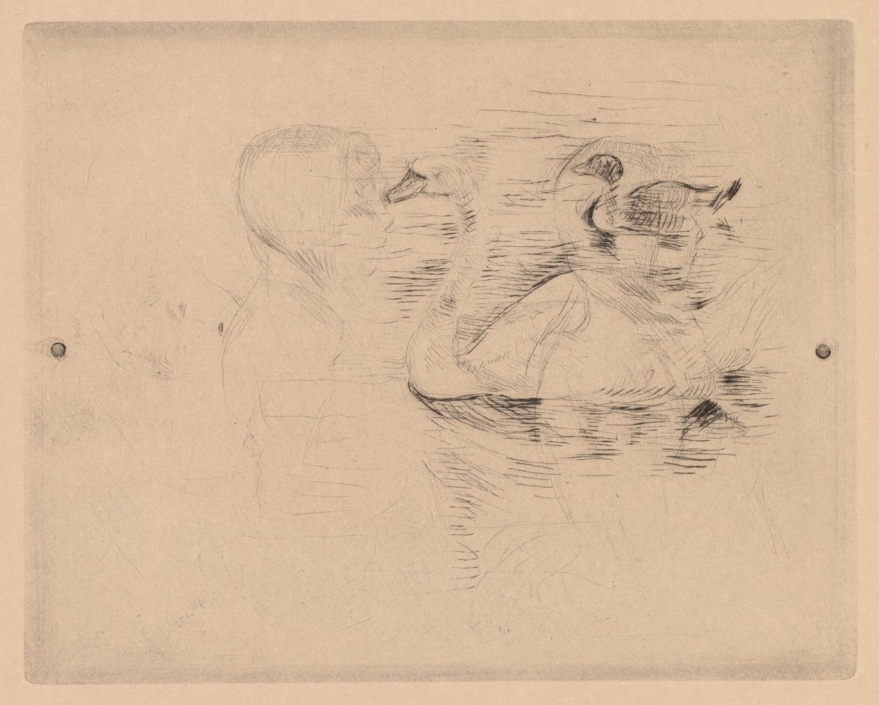 天鹅和鸭子，以及朱莉的画像（Cygne et canard, avec portraits de Julie, or Cygne et canard, essai） 作者 贝特·莫里索（Berthe Morisot）