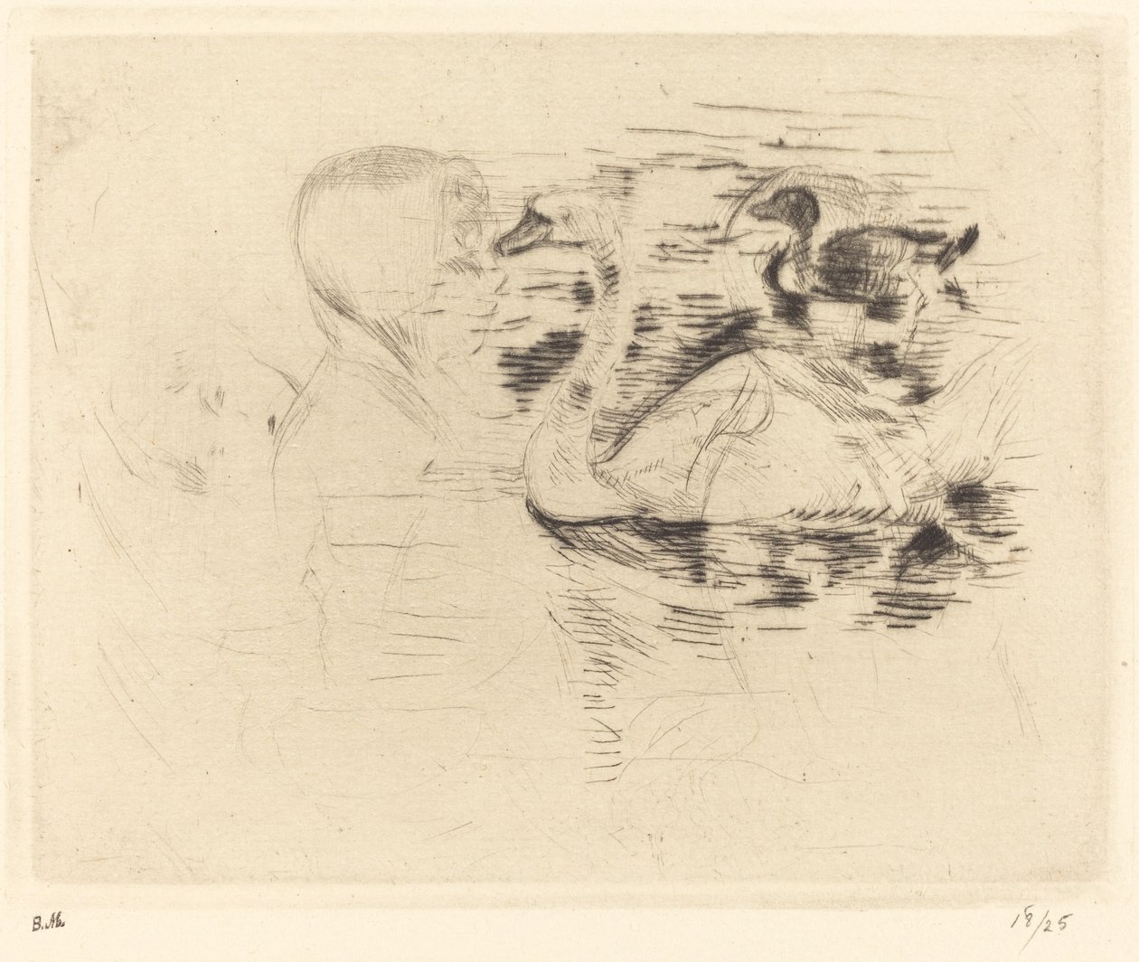 天鹅在死水中，1888年至1890年。 作者 贝特·莫里索（Berthe Morisot）