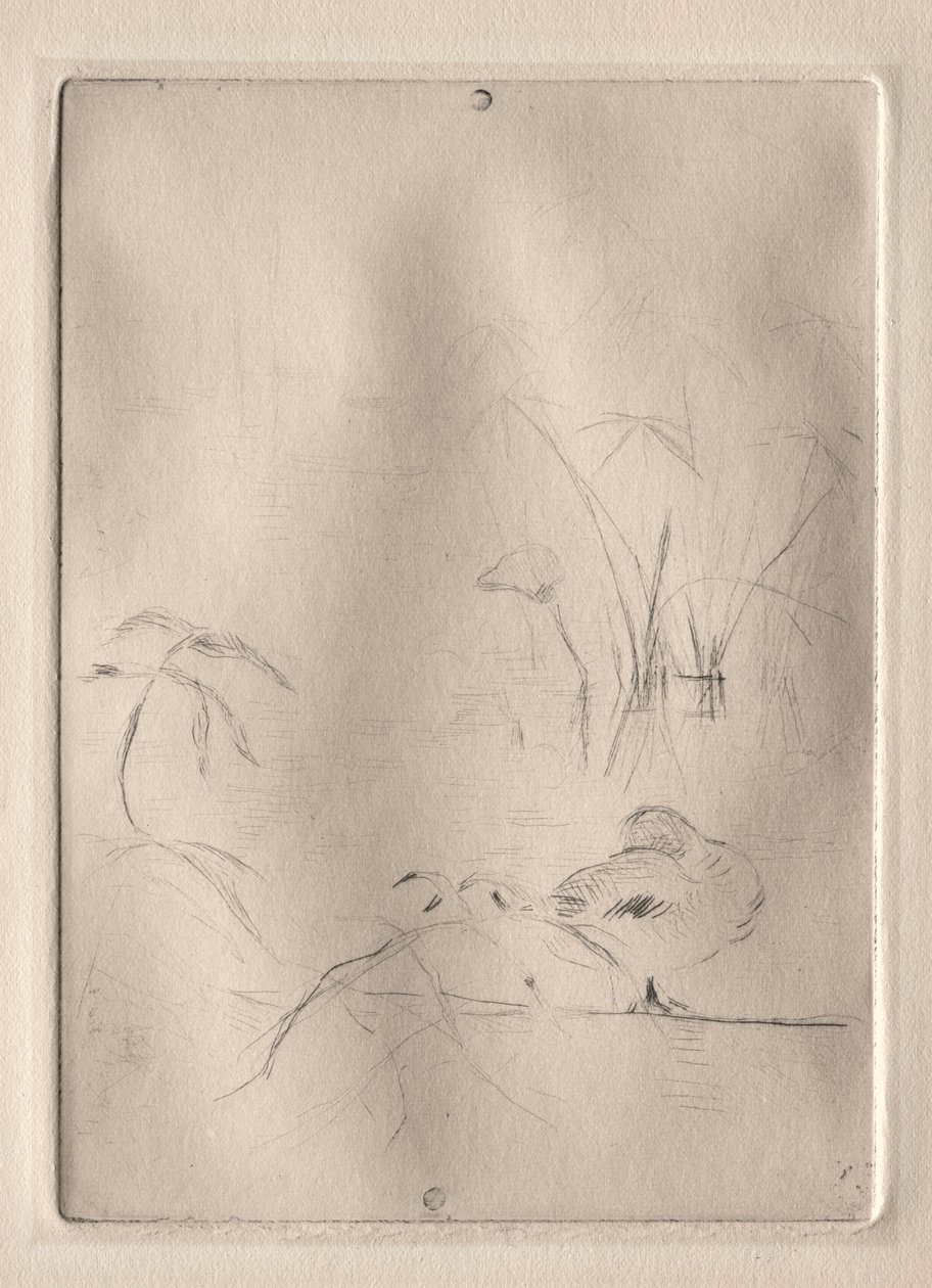 鸭子 作者 贝特·莫里索（Berthe Morisot）