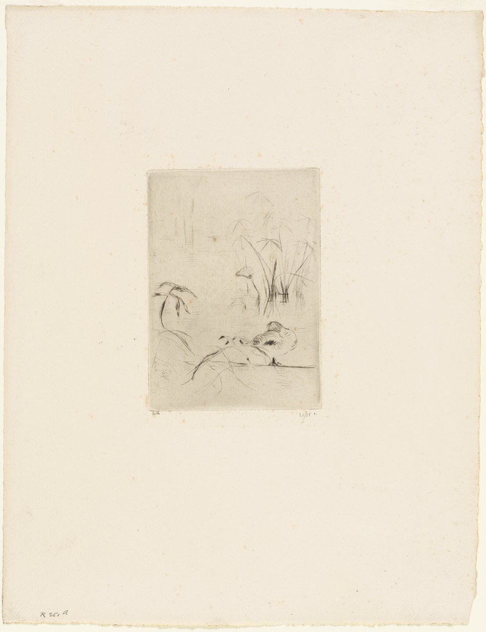 鸭子 作者 贝特·莫里索（Berthe Morisot）
