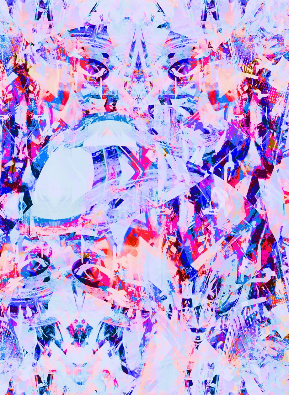 哥伦比亚，2015（混合媒介数字印刷） 作者 贝丝·特拉弗斯