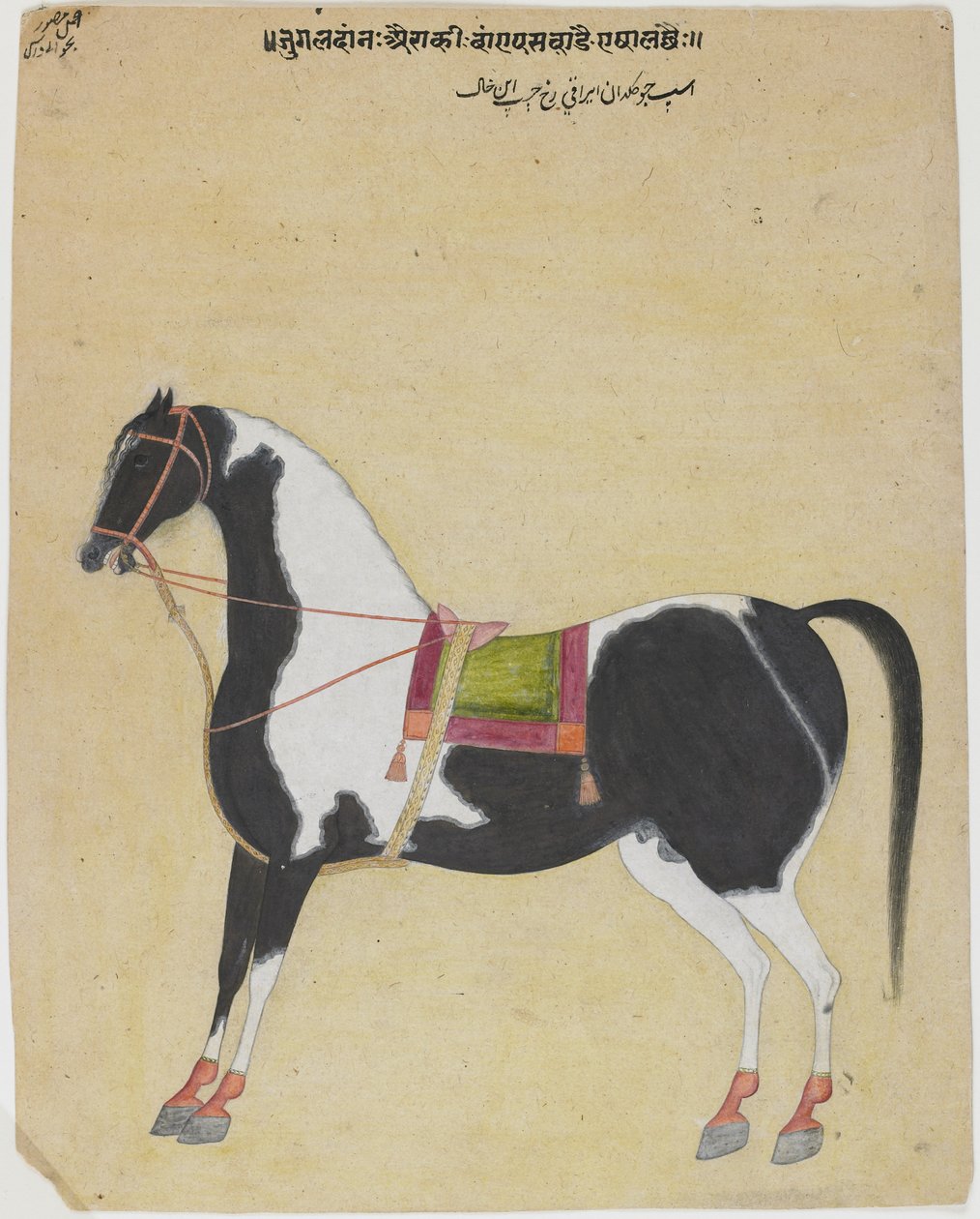 The Stallion Jukaldan Ayragi，1730（纸上不透明的wc） 作者 巴瓦尼·达斯（Bhavani Das）