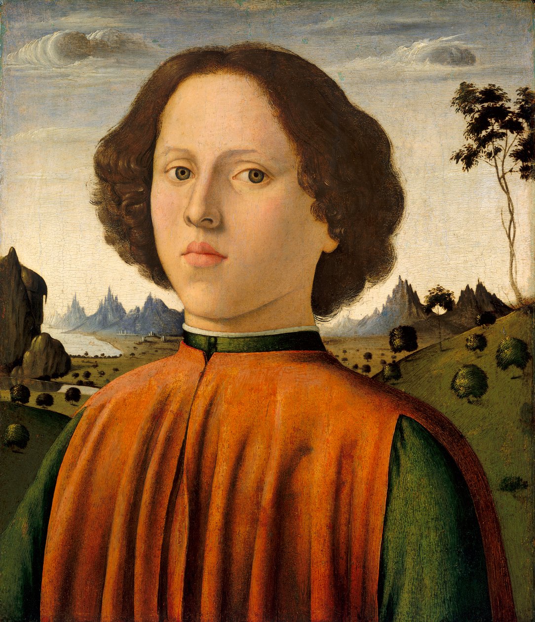 男孩的肖像，c.14761480（面板上的油和蛋彩画） 作者 比亚焦·达安东尼奥