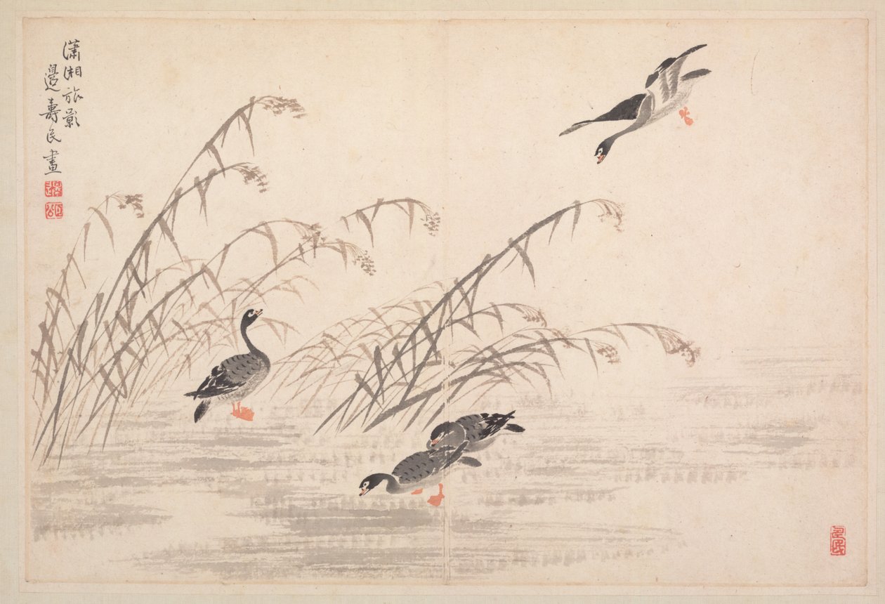 书画相册 作者 边寿民