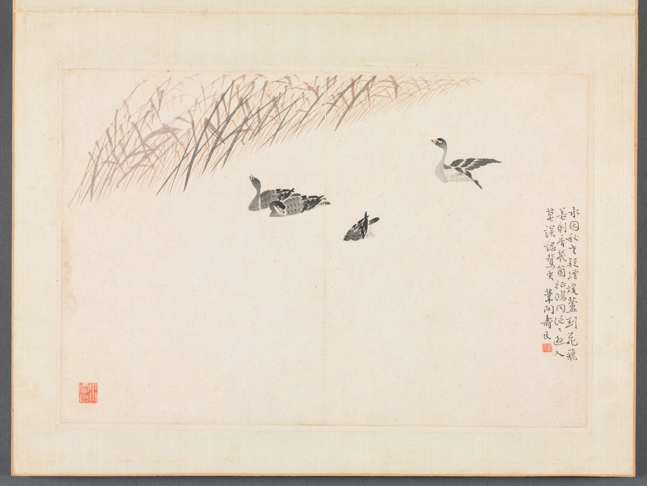 书画相册 作者 边寿民