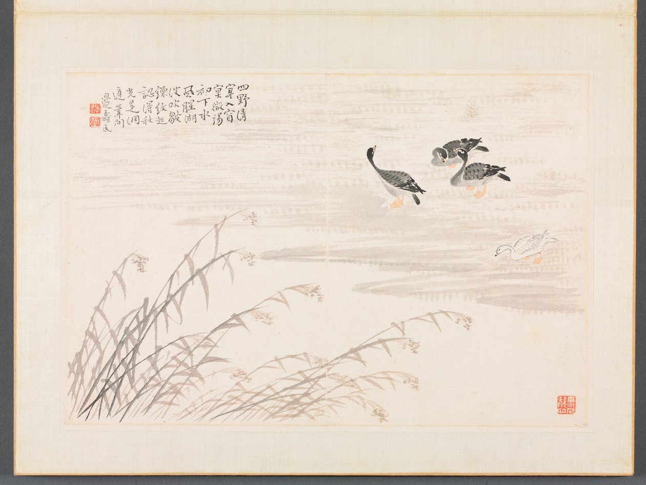 书画相册 作者 边寿民