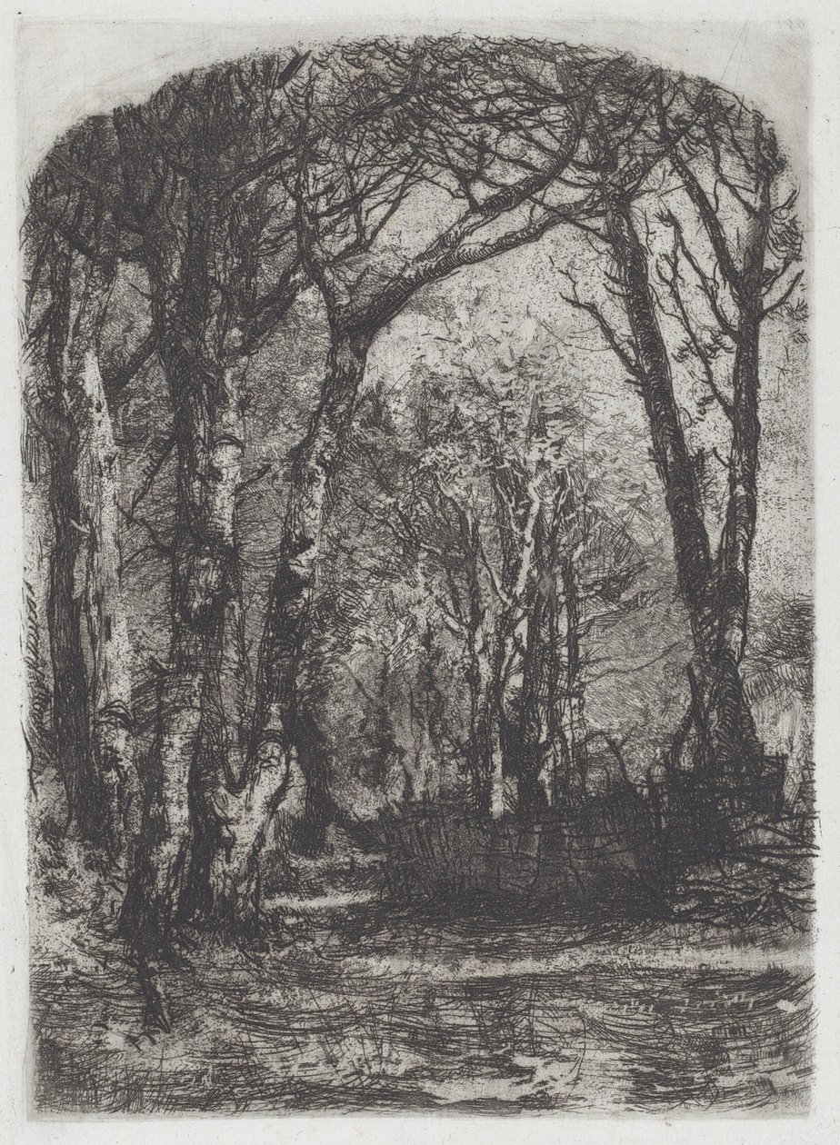 伍兹[Woods]，约1895年。 作者 比安奇·摩西