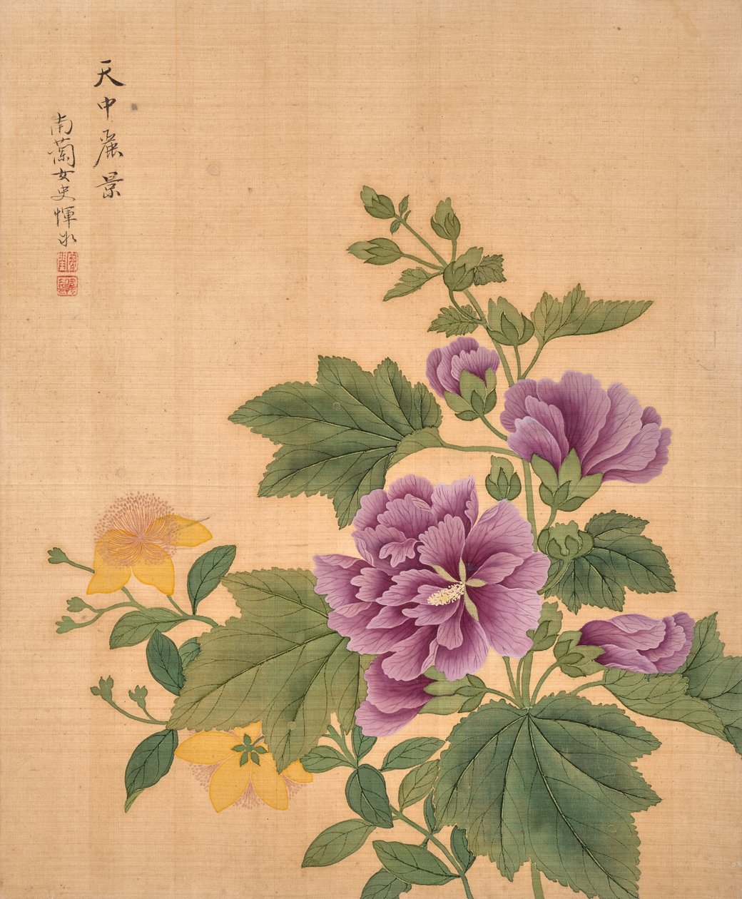  作者 