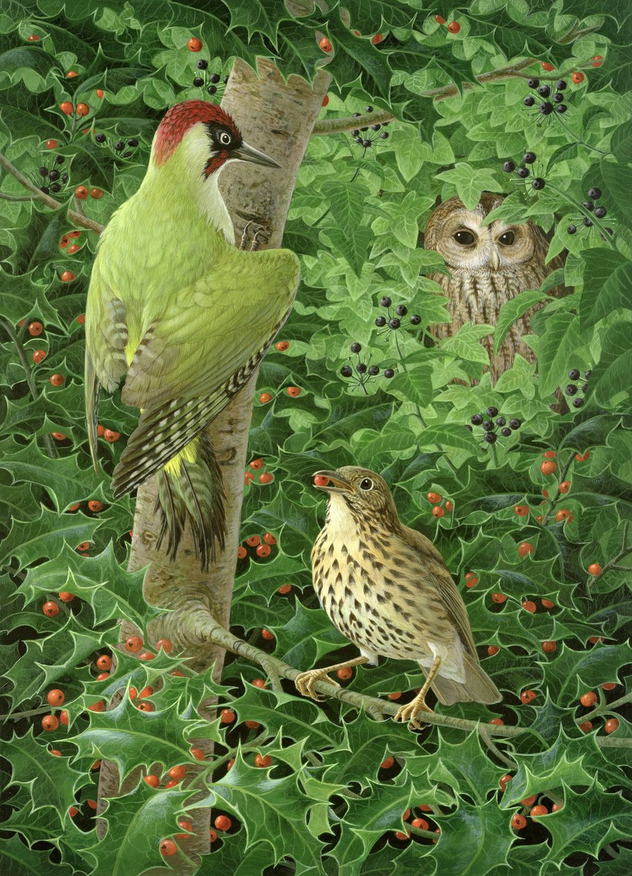 啄木鸟、猫头鹰和鸫（纸上水粉画 作者 比吉特·亨迪尔（Birgitte Hendil）