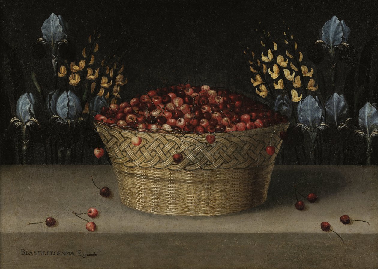 有樱桃、鲁冰花和鸢尾花的静物，约 1610 年（布面油画） 作者 布拉斯·德·勒德斯玛