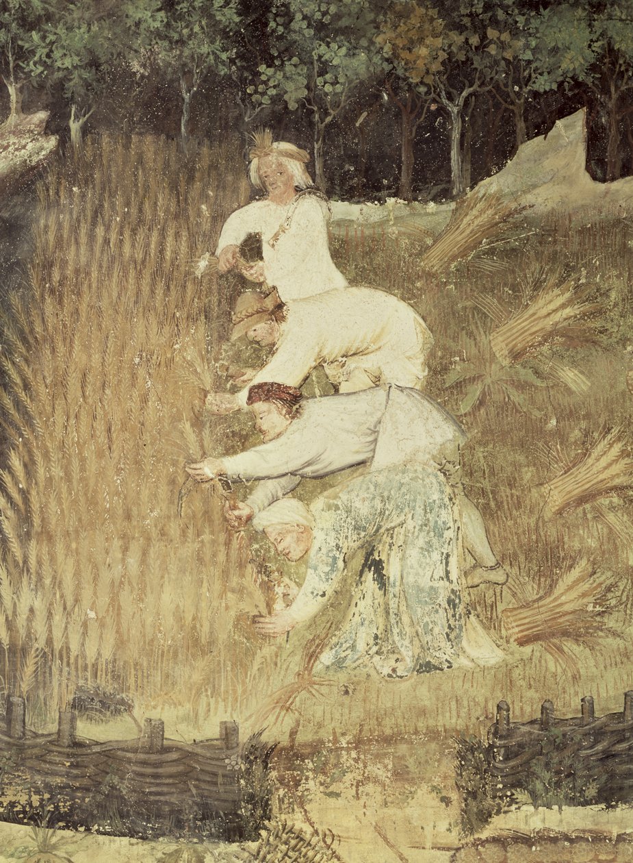 8月份，收获细节，c.1400 作者 波希米亚派