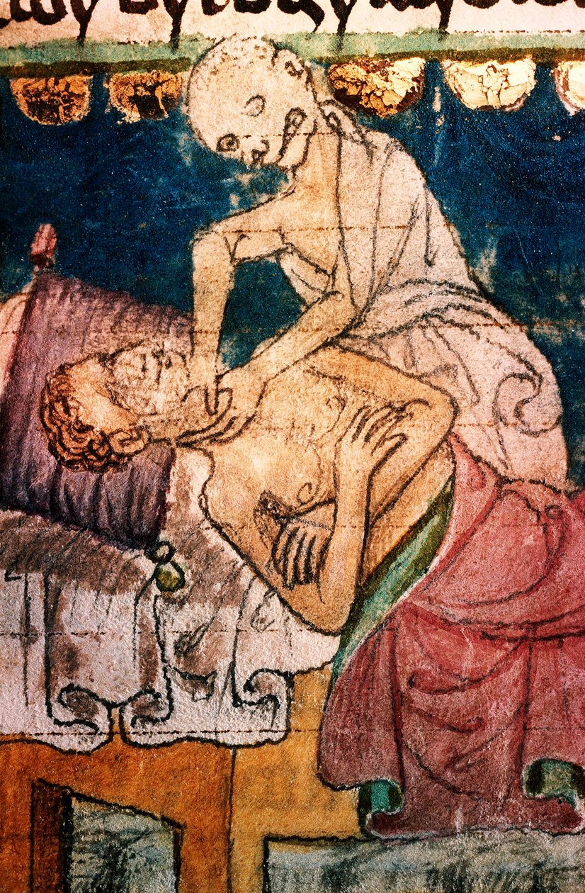 a mort etranglant un pestifere - Death Strangling a Victim of the Plague - Miniature extraite du codex Stini, Boheme   1426688   zh       chinese Successfully Translated  Original: Garden near Lake Biwa Translat: Garden near Lake Biwa 1414875 zh chinese Su 作者 波希米亚派