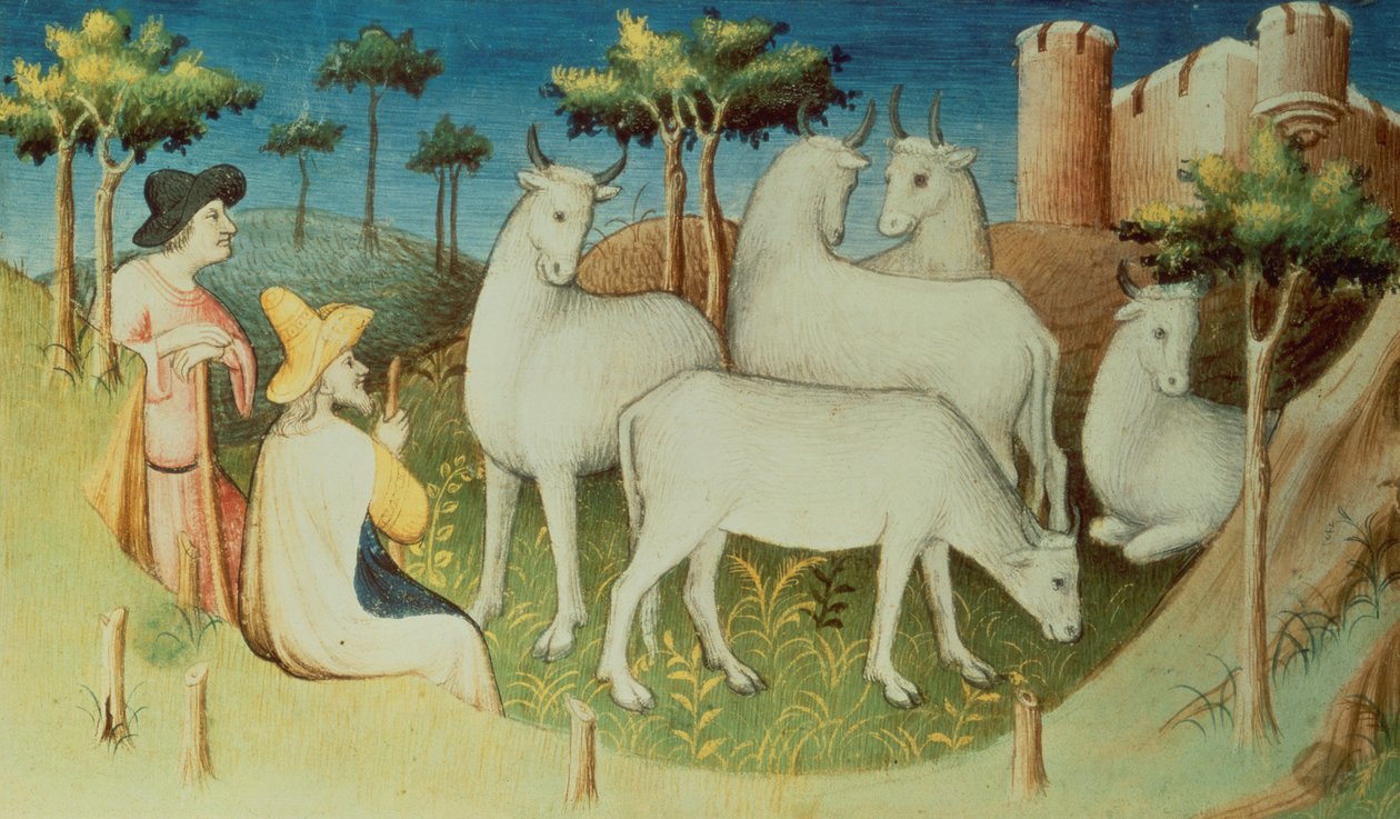 2810 f.13v女士，马可波罗出差，来自“世界奇迹之书”，c.1410-12（牛皮纸上的蛋彩画） 作者 布考大师