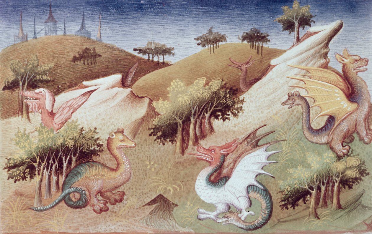 2810 f.55v女士，龙和其他野兽，来自“世界奇迹之书”，c.1410-12（牛皮纸上的蛋彩画） 作者 布考大师