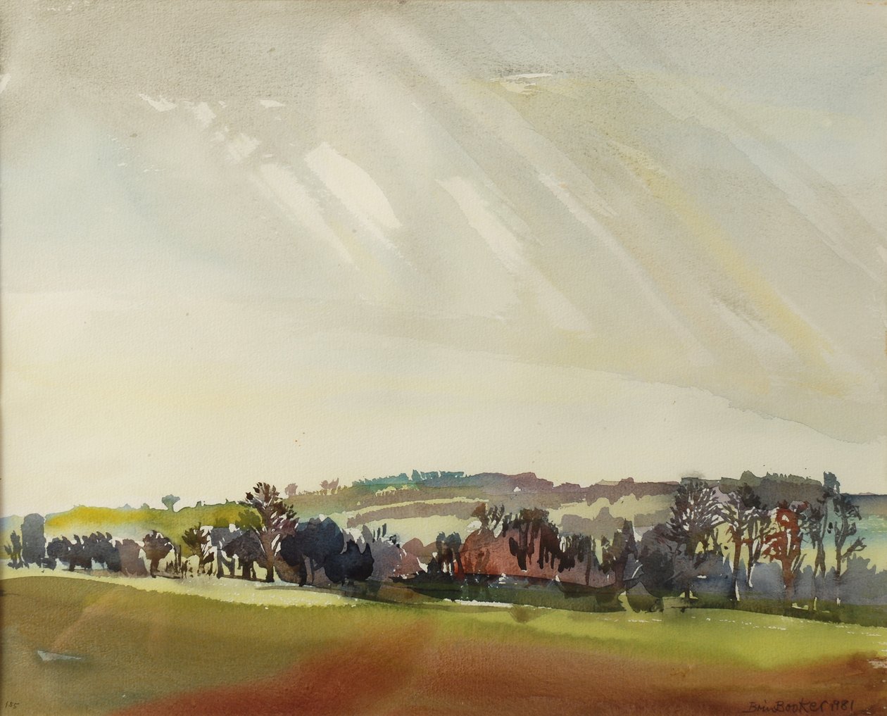 早晨风景，1981年（wc在纸上） 作者 布伦达·布林·布克