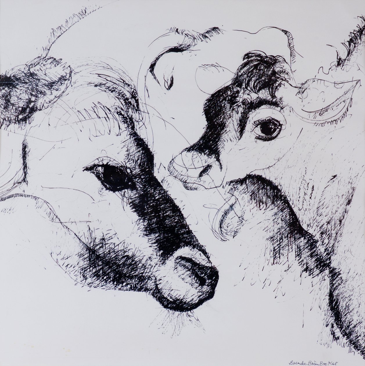 Calves，Gt Garnetts II 作者 布伦达·布林·布克