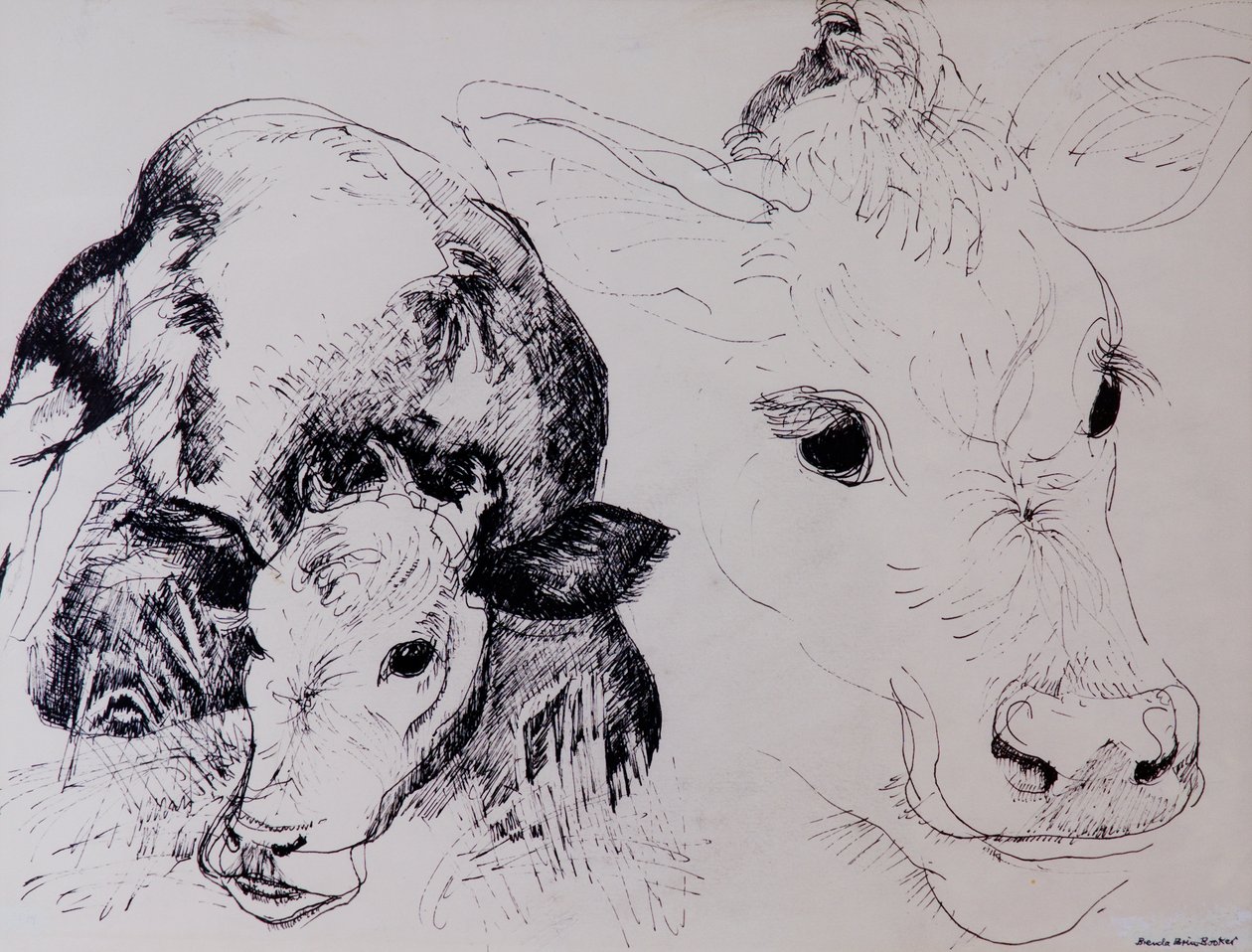 Calves，Gt Garnetts II 作者 布伦达·布林·布克