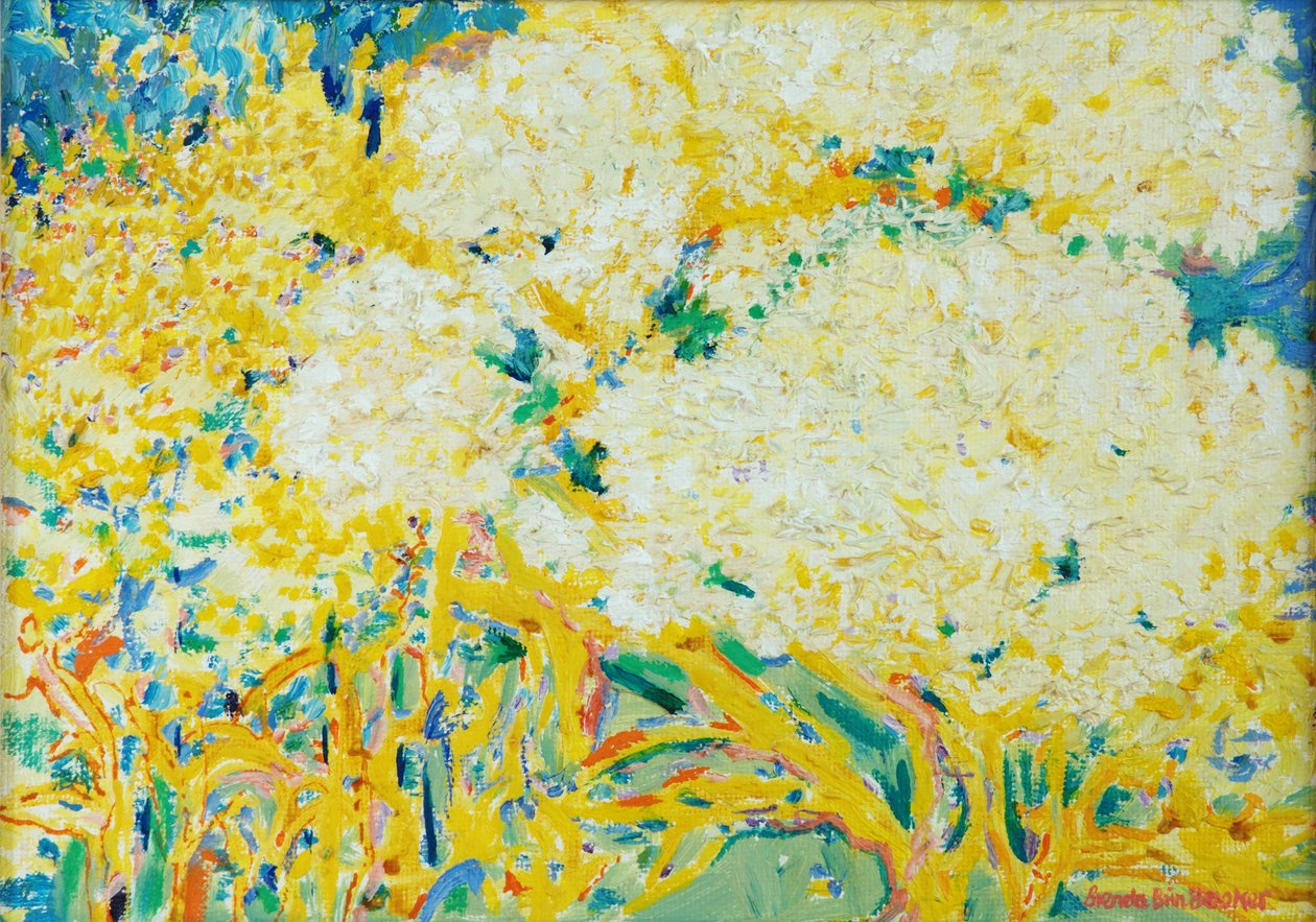 接骨木花 作者 布伦达·布林·布克